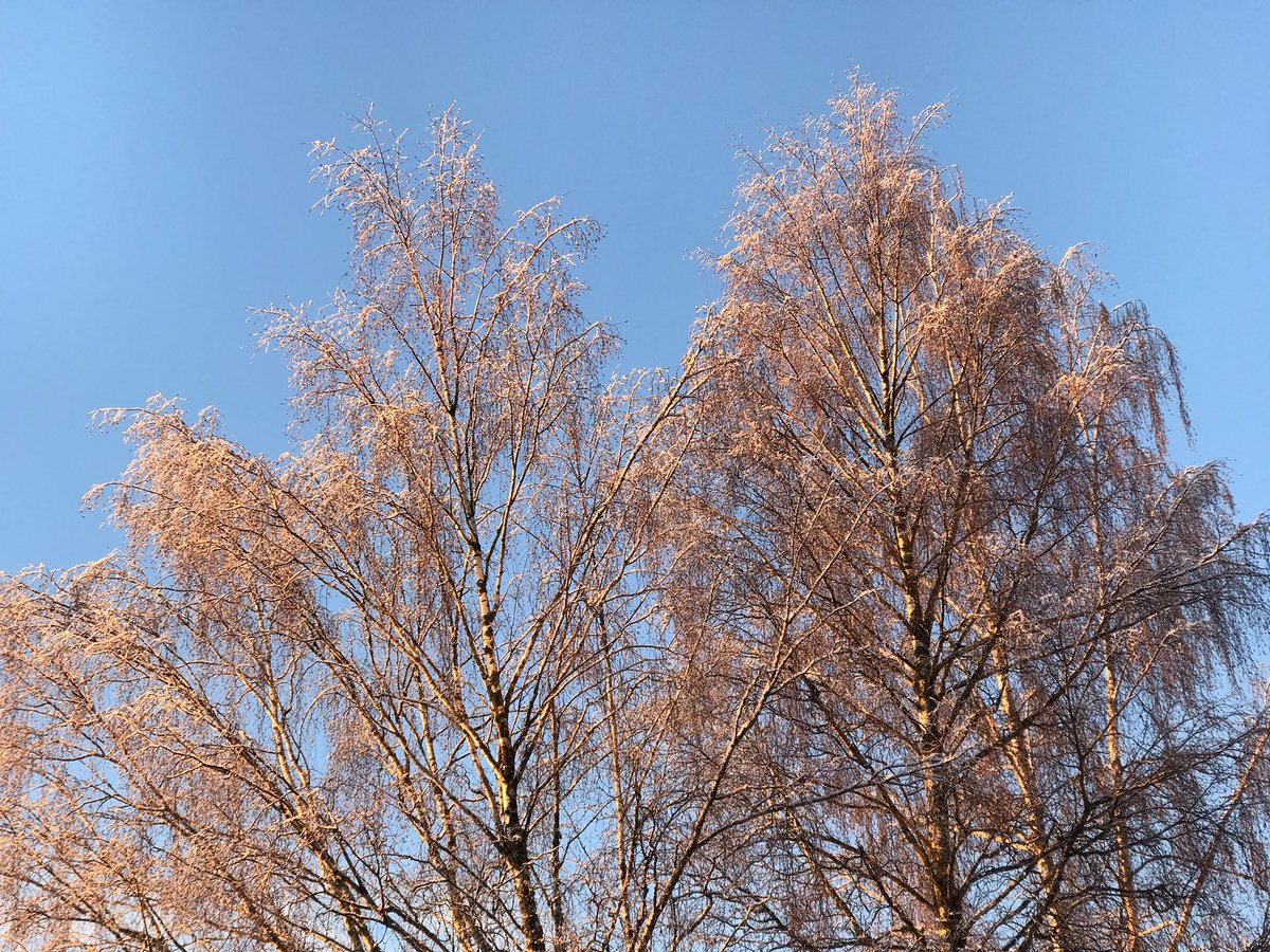 Markus Stitz tweet media