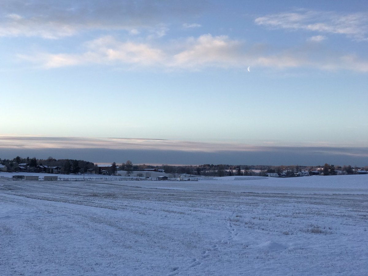 Markus Stitz tweet media