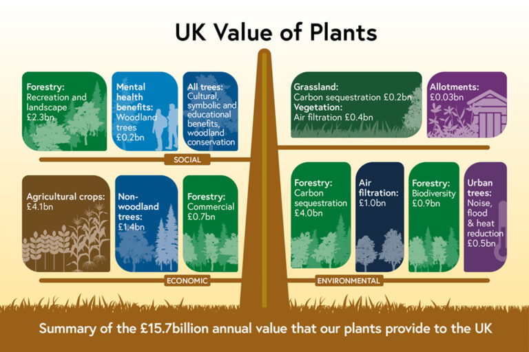 The new Plant Biosecurity Strategy for Great Britain 2023-28 has been published. It shows that plants provide an annual value of £15.7 billion to the UK. For more information - GOV.UK (gov.uk) and planthealthportal.defra.gov.uk/latest-news/ne…