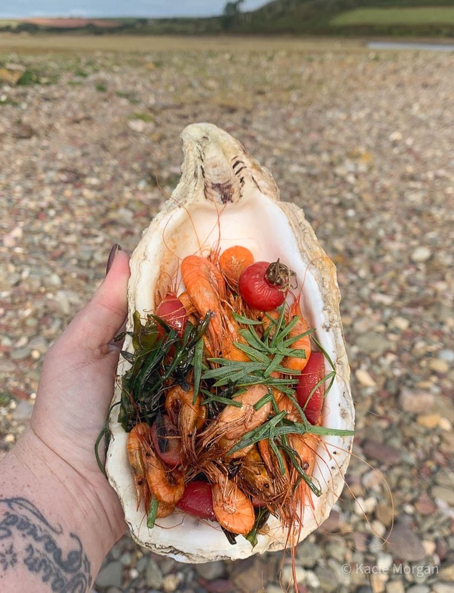 Coastal foraging with @Coastal_Craig in Pembrokeshire, south-west Wales is one of the most memorable experiences I've had in 13 years' of food and travel blogging. 

Hear why: therarewelshbit.com/coastal-foragi… 

#Pembrokeshire #FindYourEpic [AD]
