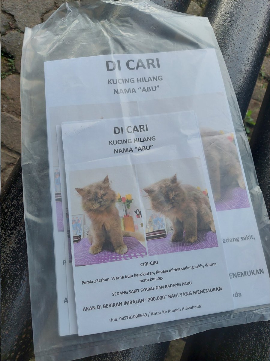 winterrnim's tweet photo. Ini bentuk ikhtiar ku nyari Abu ya. Aku udah sebar ini bbrapa hari yg lalu dan hari ini mau ku sebar lagi. Doain semoga Abu bisa pulang atau setidaknya dia gak di jahatin orang di luar sana😭🙏 https://t.co/xGQb3fgZA3