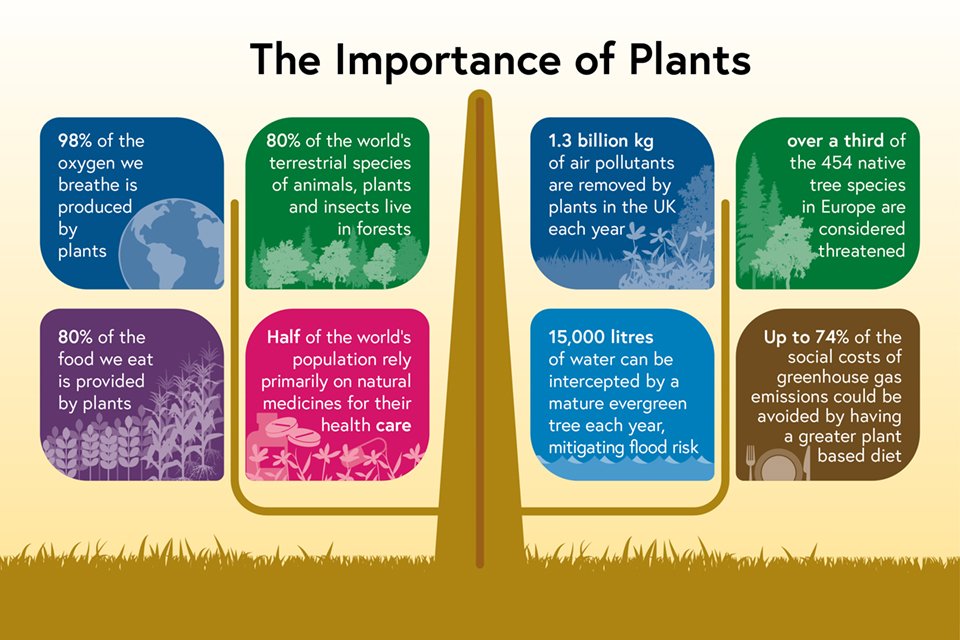 The new Plant Biosecurity Strategy for Great Britain 2023-28 has been published. It sets out the global importance of plants to society.
gov.uk/government/pub…