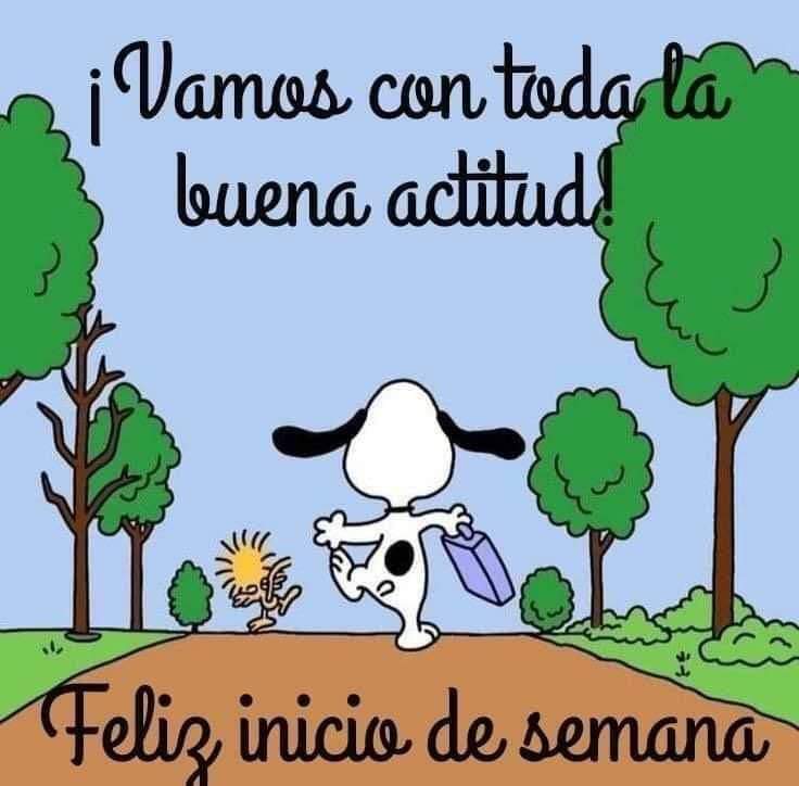 Excelente inicio de semana.
