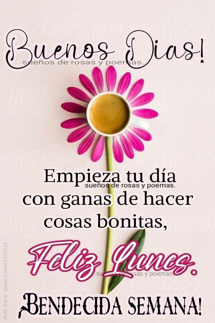 jeankarlosg1's tweet photo. Buenos Días 🇻🇪 #VenezuelaTerritorioDePaz
@Orlinda66550281 @Olinto012 @RazziLuis @Francis88566791 @jeankarlosg1 https://t.co/9bR1HDCUN4