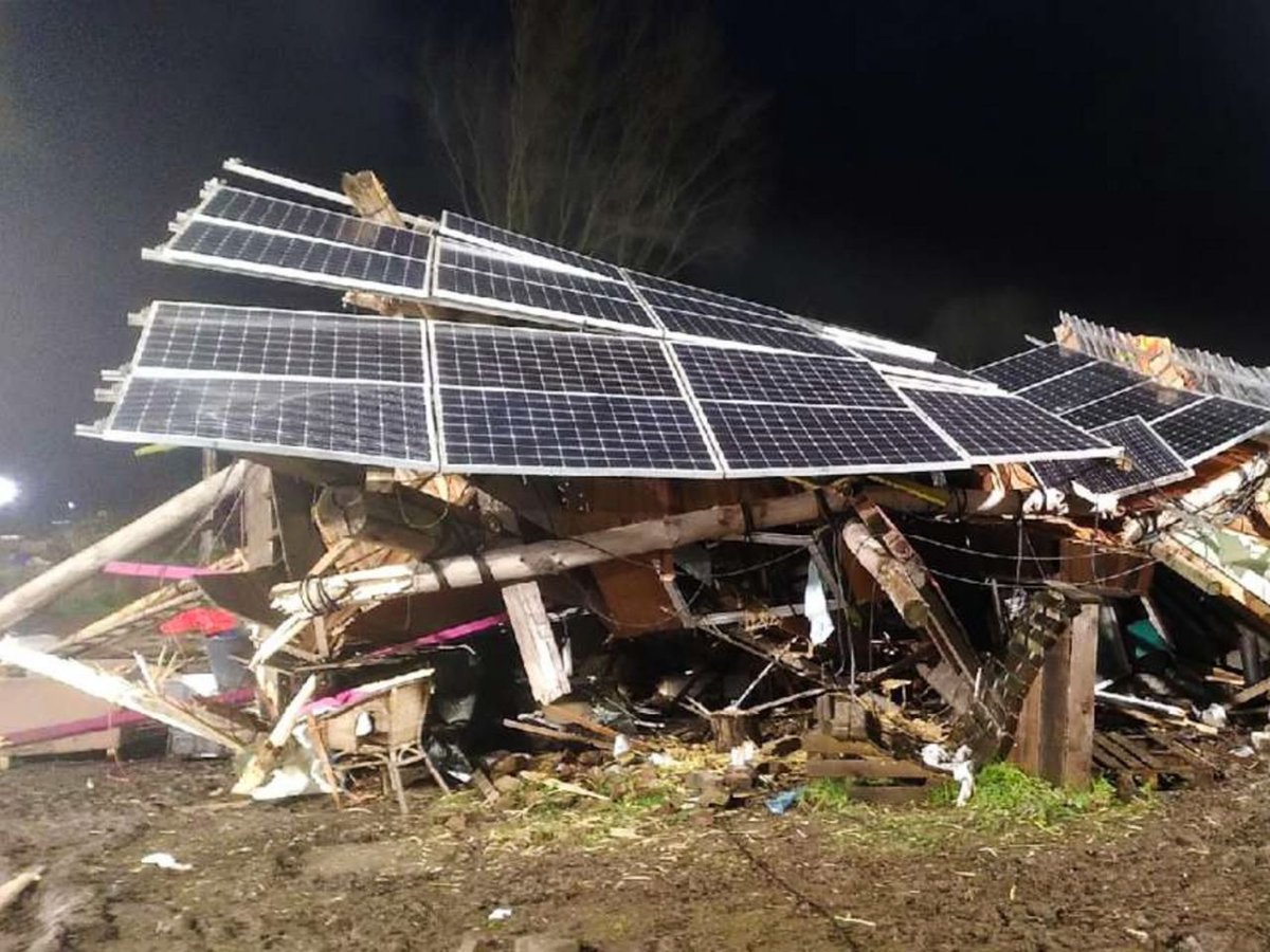 Fridays for Future Germany tweet media