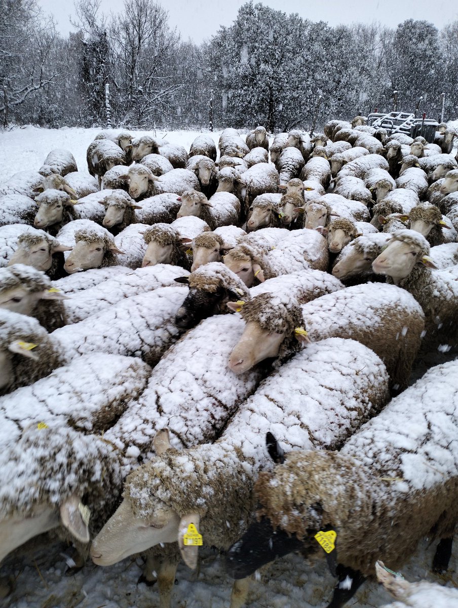 La neige en Provence !!
#photography #photooftheday #Neige #Paysage #Photographie