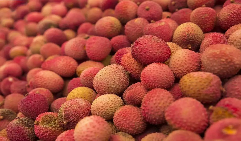 Litchi malgache : deux entreprises françaises au coeur d’une filière soupçonnée de #CORRUPTION 

outlook.skan1.fr/2022/12/05/lit…