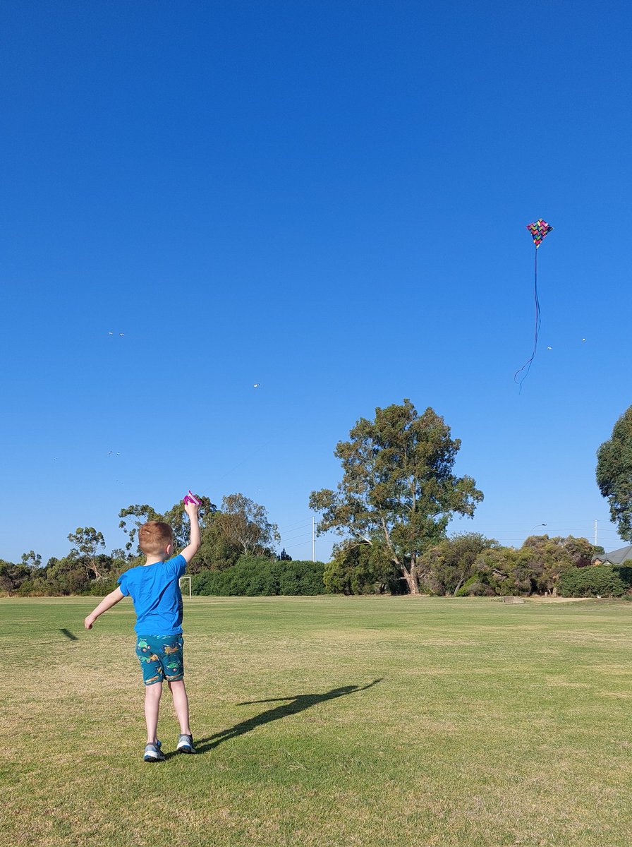 Perfect kite flying weather 🪁💨🌞
