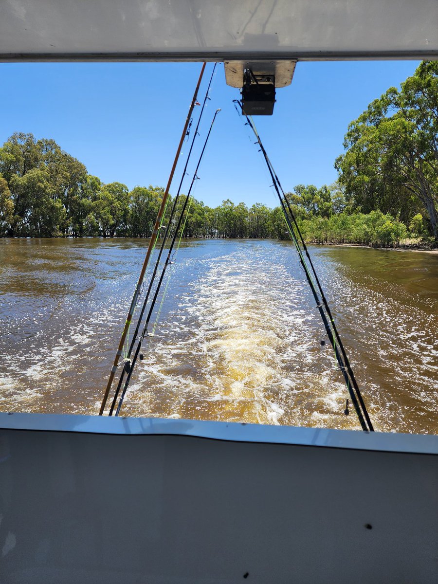 Derek de Stacpoole tweet media