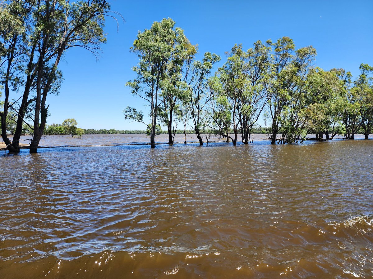 Derek de Stacpoole tweet media