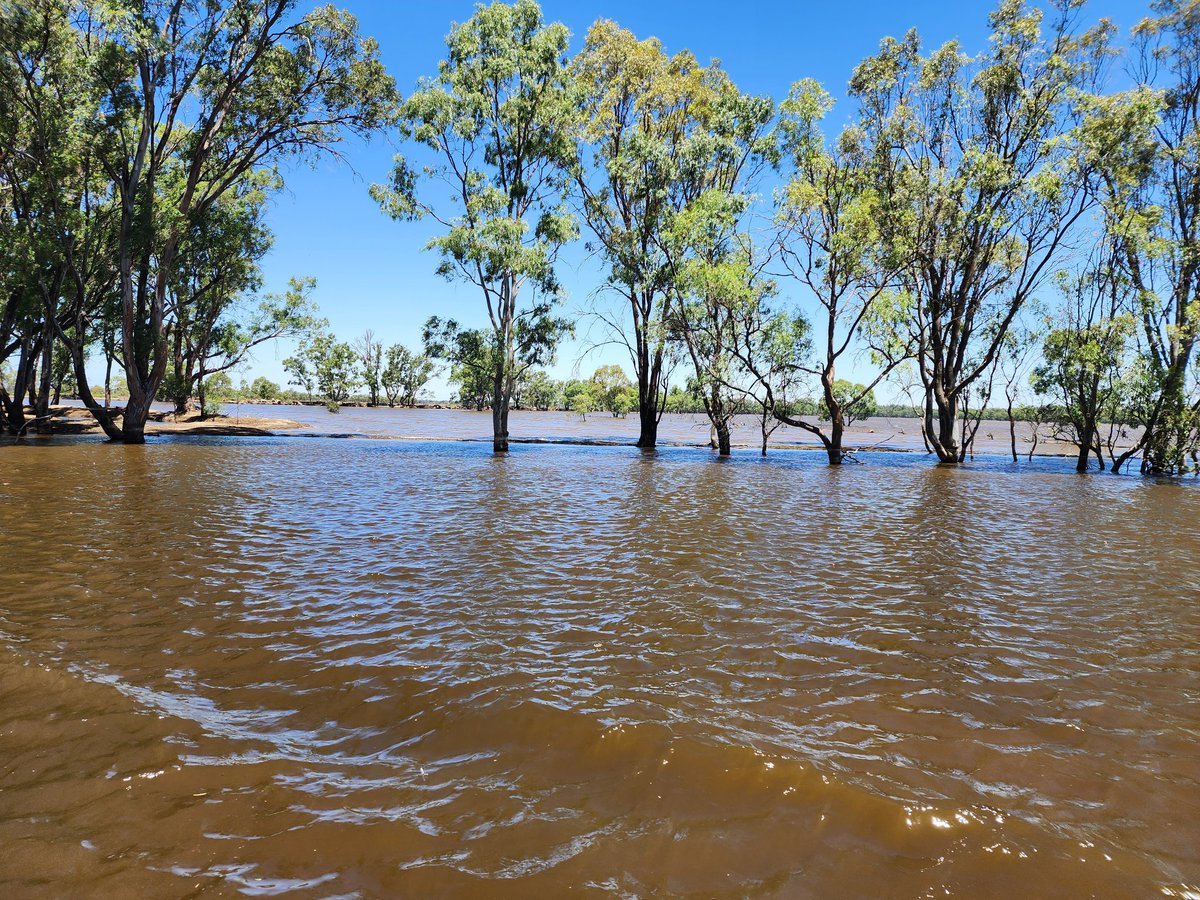 Derek de Stacpoole tweet media