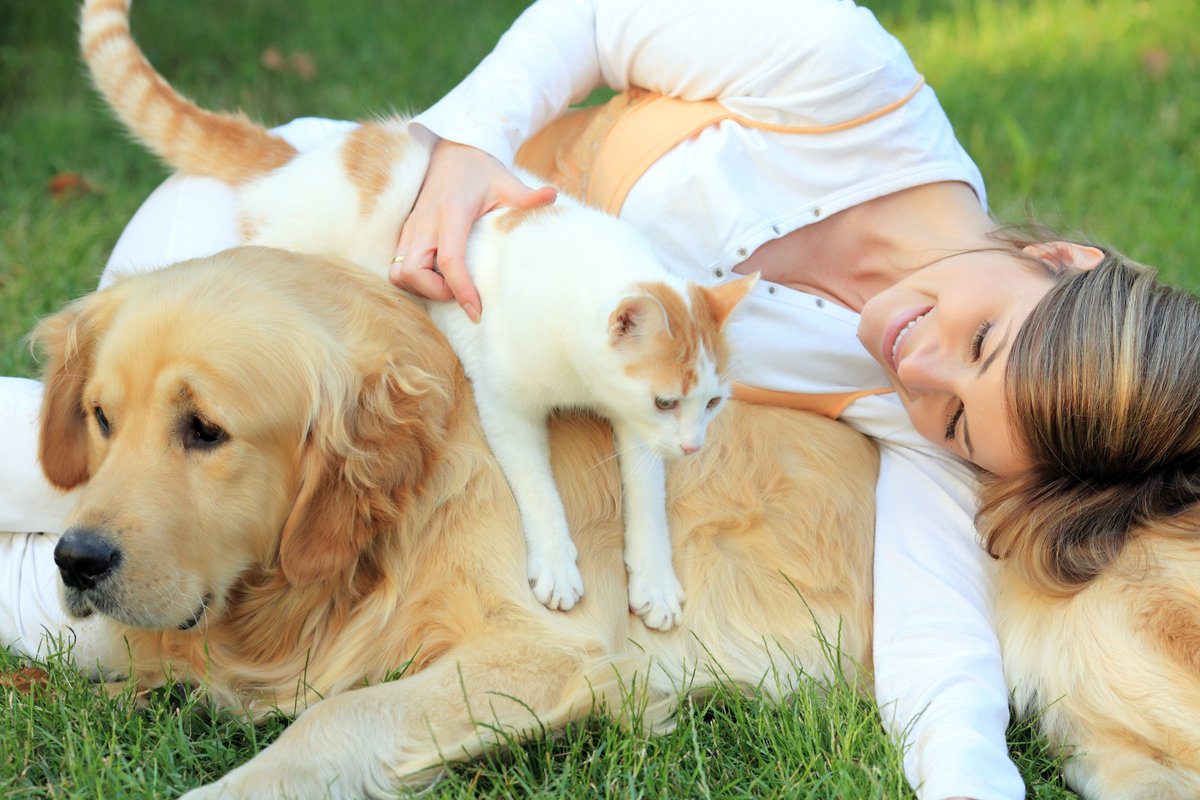 CevaSanteAnimal's tweet photo. 🐈 #HumanAnimalBond 🐕

It seems that #BlueMonday is back again 🙁
📆 On this most depressing day of the year, we wanted to remind people how lucky pet owners are! 🤞
💡 Did you know that many scientific studies show the benefits of pets on our mental and physical health? 
⬇️ https://t.co/ReFSCki0xo