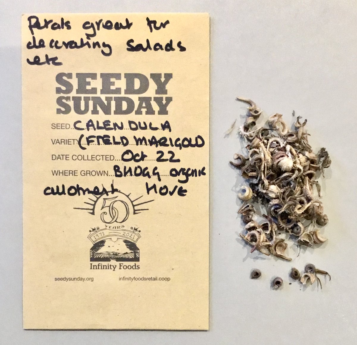 SeedySundayBton's tweet photo. Busy packing seeds for #Seedysunday2023 @infinityfoodsw @btnhovefood @StanmerParkSPS @Kateinbrighton #nodigday #Brighton #Hove #Gardening #seeds #gardeningevents https://t.co/y5Nb1HNchL