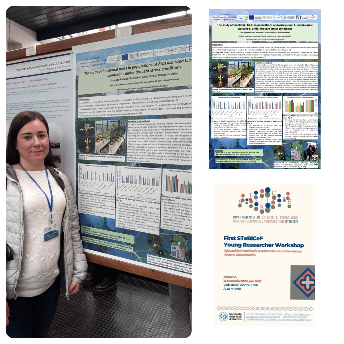 BrasExplor trainee Roberta Tarantino shared some of her experimental work at the StTeBICeF Department Young Researcher Workshop of the University of Palermo <a href="/unipait/">NonUniversitàPalermo</a> 
"the study of functional traits in population of #Brassica  under drought stress conditions"

<a href="/PrimaProgram/">PRIMA Program Mediterranean Partnership 🇪🇺</a>