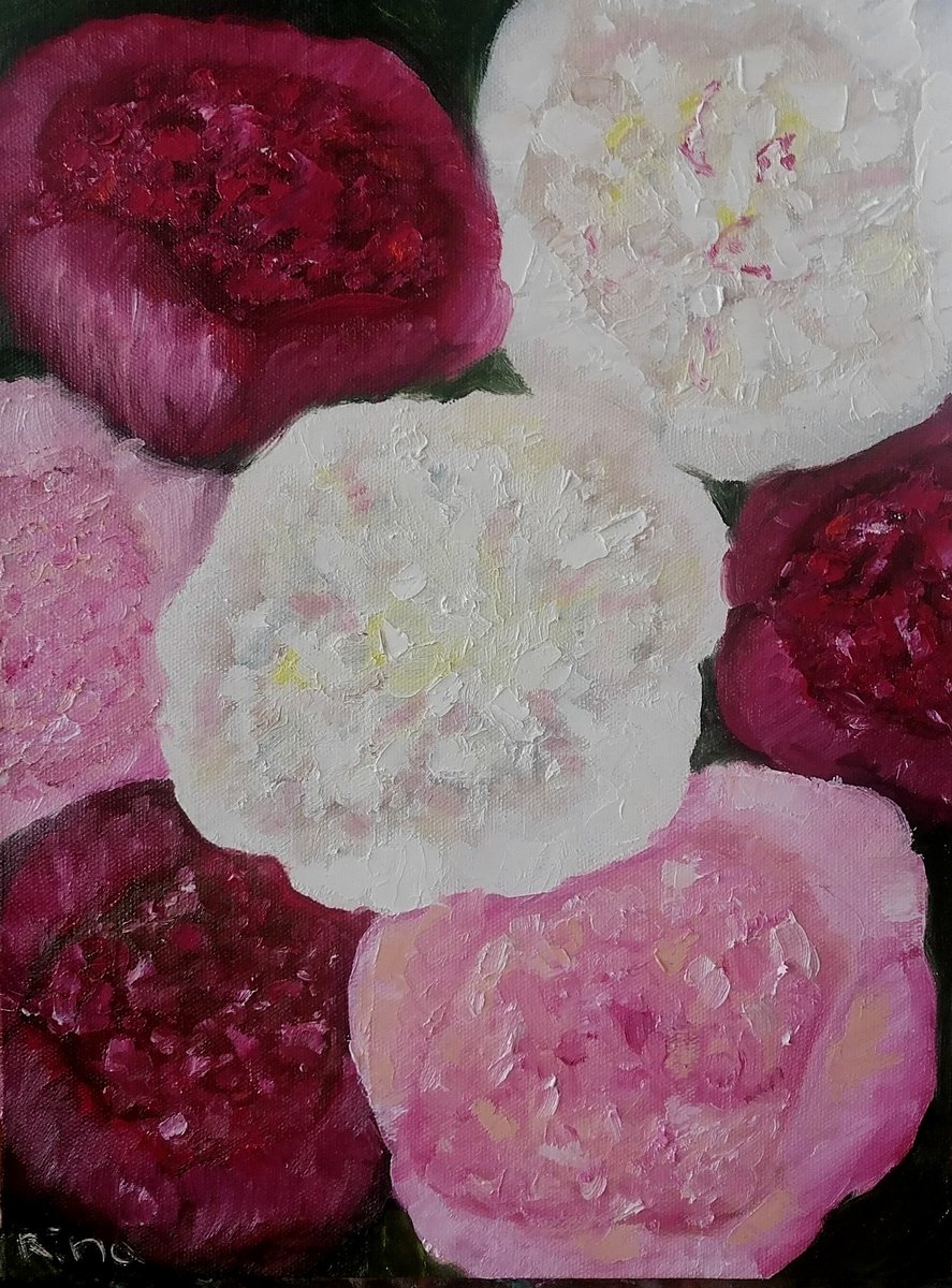 Peonies 🎨