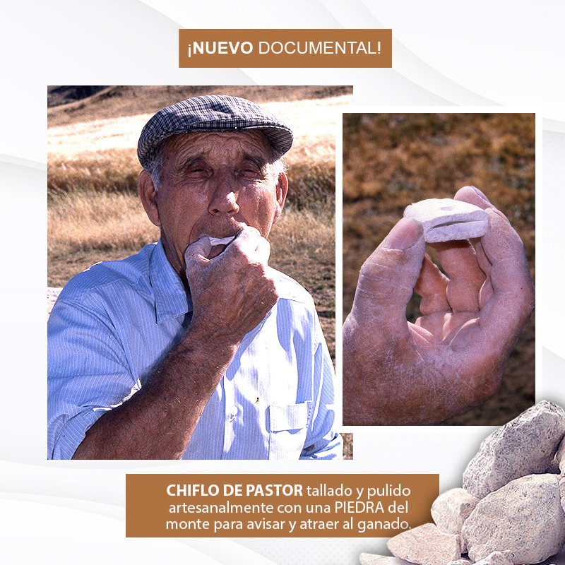 🔴📽️ ESTRENO | #CHIFLO de #pastor tallado y pulido artesanalmente con una piedra del monte para avisar y atraer al ganado. #OficiosPerdidos

🕗 A las 20:30h en mi canal de #Youtube: youtube.com/c/eugeniomones…

¡Espero que os guste! 😃