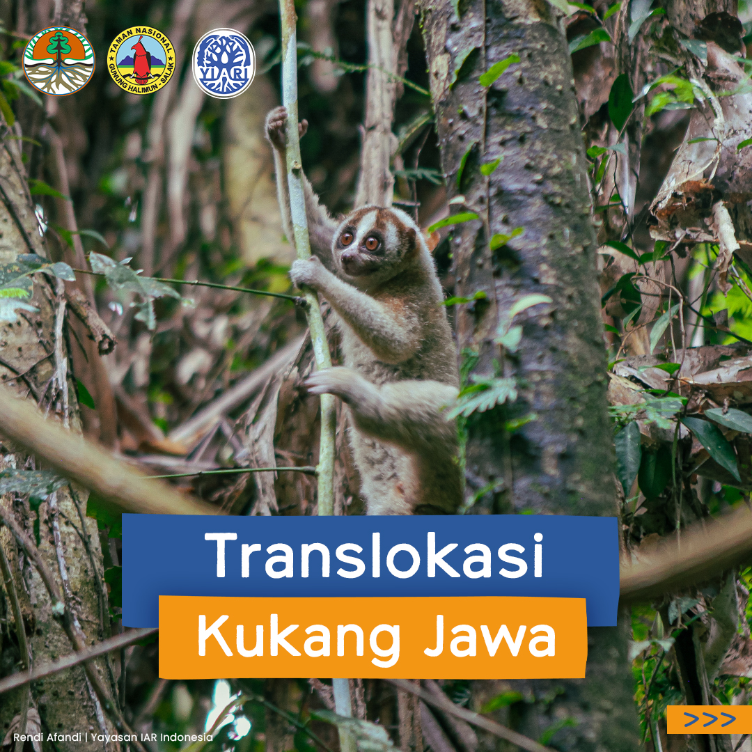 IAR Indonesia tweet media