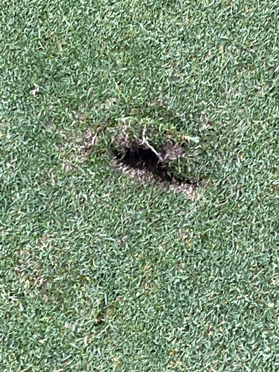dcb151's tweet image. Two chunks on greens next to holes this morning from wknd🤦🏻‍♂️
Very lucky to be playing at all with current weather(most local courses shut)
Maybe golf not the sport for the culprit🤷‍♂️