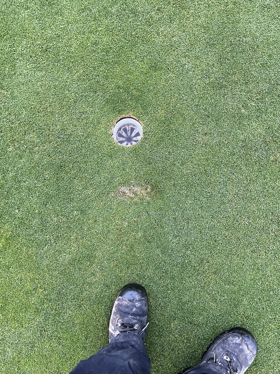dcb151's tweet image. Two chunks on greens next to holes this morning from wknd🤦🏻‍♂️
Very lucky to be playing at all with current weather(most local courses shut)
Maybe golf not the sport for the culprit🤷‍♂️