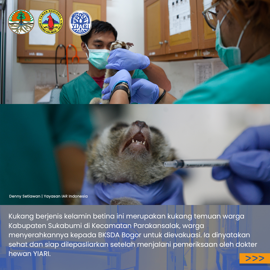 IAR Indonesia tweet media