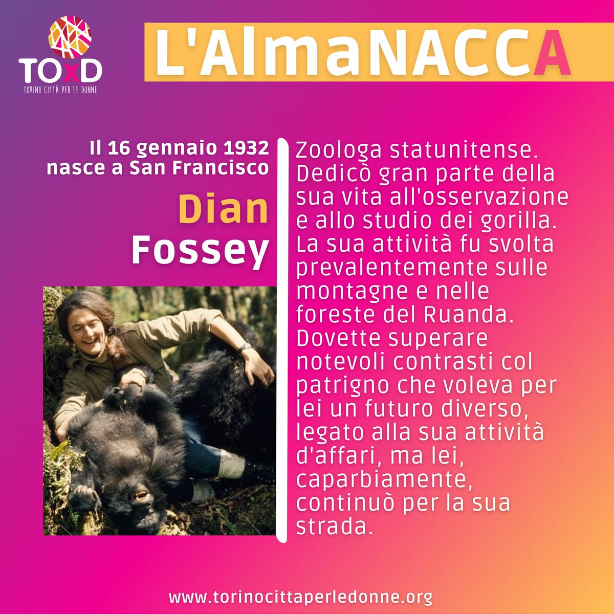 Torino Città per le Donne tweet media