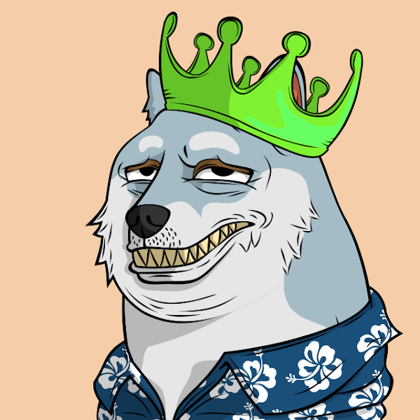 Thommyturtle's tweet photo. Have a wonderful week fellow DOGES. 👑
Is @TheDogePoundNFT follow DOGE still a thing? 
#Dog https://t.co/ij5djIwQnP