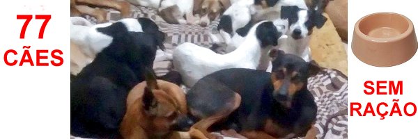 Wborgesprotecao's tweet photo. Estou sem esperanças já.
MEUS PEDIDOS DE AJUDA NÃO TEM VOZ.
A ração está  acabando. Não sei mais o que fazer. Não vou suportar ver os cachorros sem comida!!!
Compartilhem por favor e ajudem!!!
PIX CPF 077.469.026-77 (C6 Bank/Walisson) https://t.co/LqYqcDVcg5