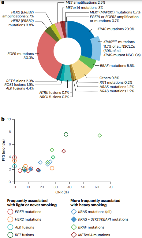 NatRevClinOncol's tweet photo. In a new Review, Itziar Otano, @AcUcero, @jon_zuga &amp; @LuisPaz_Ares critically appraise the potential of immunotherapy for oncogene-addicted subsets of NSCLC: https://t.co/sXhhJUICs9
 @CNIOStopCancer @unicomplutense @CIBERONC
@UAI_imas12 #imas12 #medonc #ImmunoOnc #LCSM https://t.co/aD8iT0AKXS
