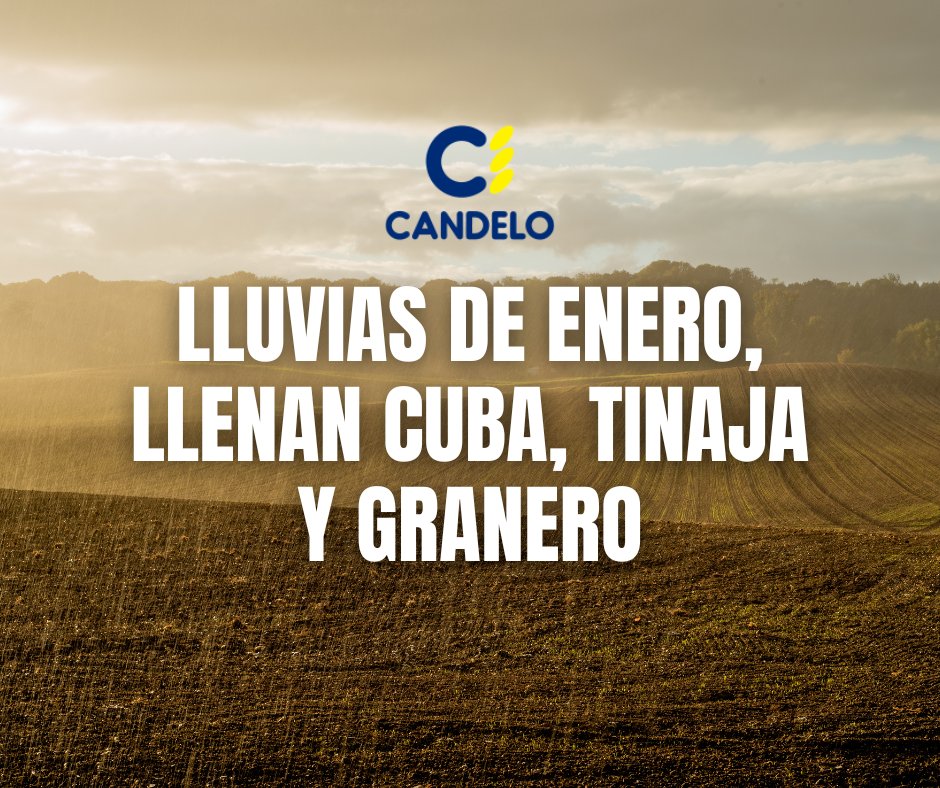 CandeloCereales's tweet photo. Hay algunos dichos del campo que se explican por sí solos... ¡Seguimos esperando a la lluvia! 🌧

#CerealesCandelo #Cereales #Albacete #CLM #CastillaLaMancha #Agricultura #Ganadería #LaAgriculturaqueviene https://t.co/x8tCNLu1b2