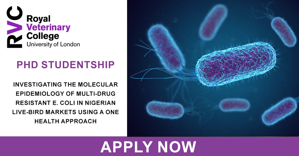 🔬PhD Studentship available: Investigating the molecular epidemiology of multi-drug resistant E. coli in Nigerian live-bird markets using a One Health approach 📅 Deadline: 7th Feb 2023 ➡️ rvc.uk.com/one-health-eco…