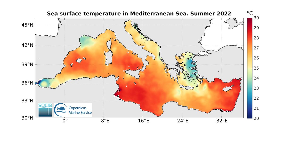 🆕📰El #Mediterráneo occidental alcanzó temperaturas récord en 2022 y #OlasDeCalor #marinas sin precedentes

📈🌡️Ha sido el 5º año más cálido registrado en el 🌏, y el 2º año más cálido con el verano más caluroso registrado en Europa

Saber más 🔗cutt.ly/821zSKo
#ICTSNews