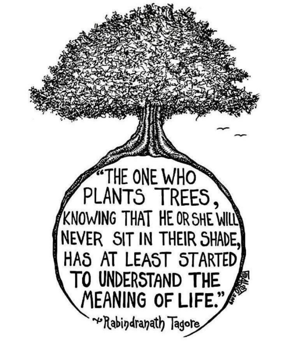 Gateshead_GPS's tweet photo. I think this sums up what all us EPs do, whether assistant, TEP or qualified. We often don't see the impact we have later on in a child's life, yet we work hard to make a difference. Great lessons there, don't just do things for your sake, but for others! #twitterEPs #AsEP https://t.co/RrE6lKRlPV
