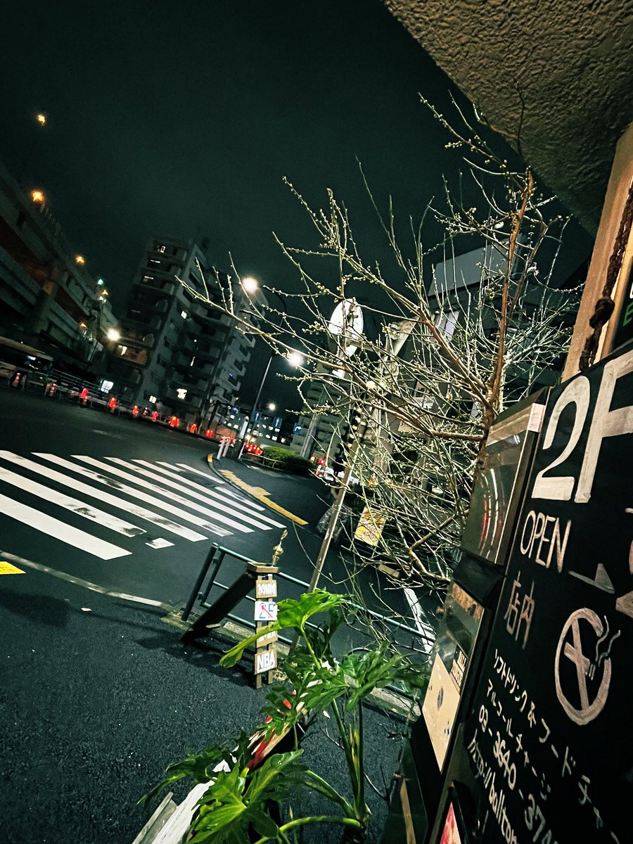 hojaluna's tweet photo. OpEN 🌃
#basketballcafe #BALLTONGUE 
#sign #woodsigns #flowerbud #street #entrance #view #streetview #green #Monstera #T13 #balltongue #paintingsigns #americanfood #nba  #clothingstore #giftshop #fashion #handmadeaccessory  #tokyoeastside #ThePhotoHour #hellonewweek #hellomonday https://t.co/6hWjsCtXGY