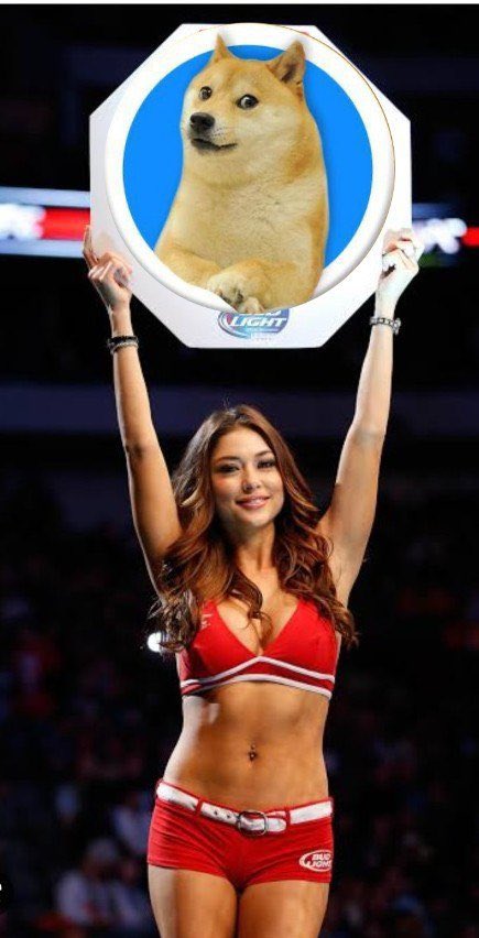 <a href="/CryptoTalkMan/">CTM</a> $KABOSU chads on chads buying fam

dextools.io/app/en/ether/p…