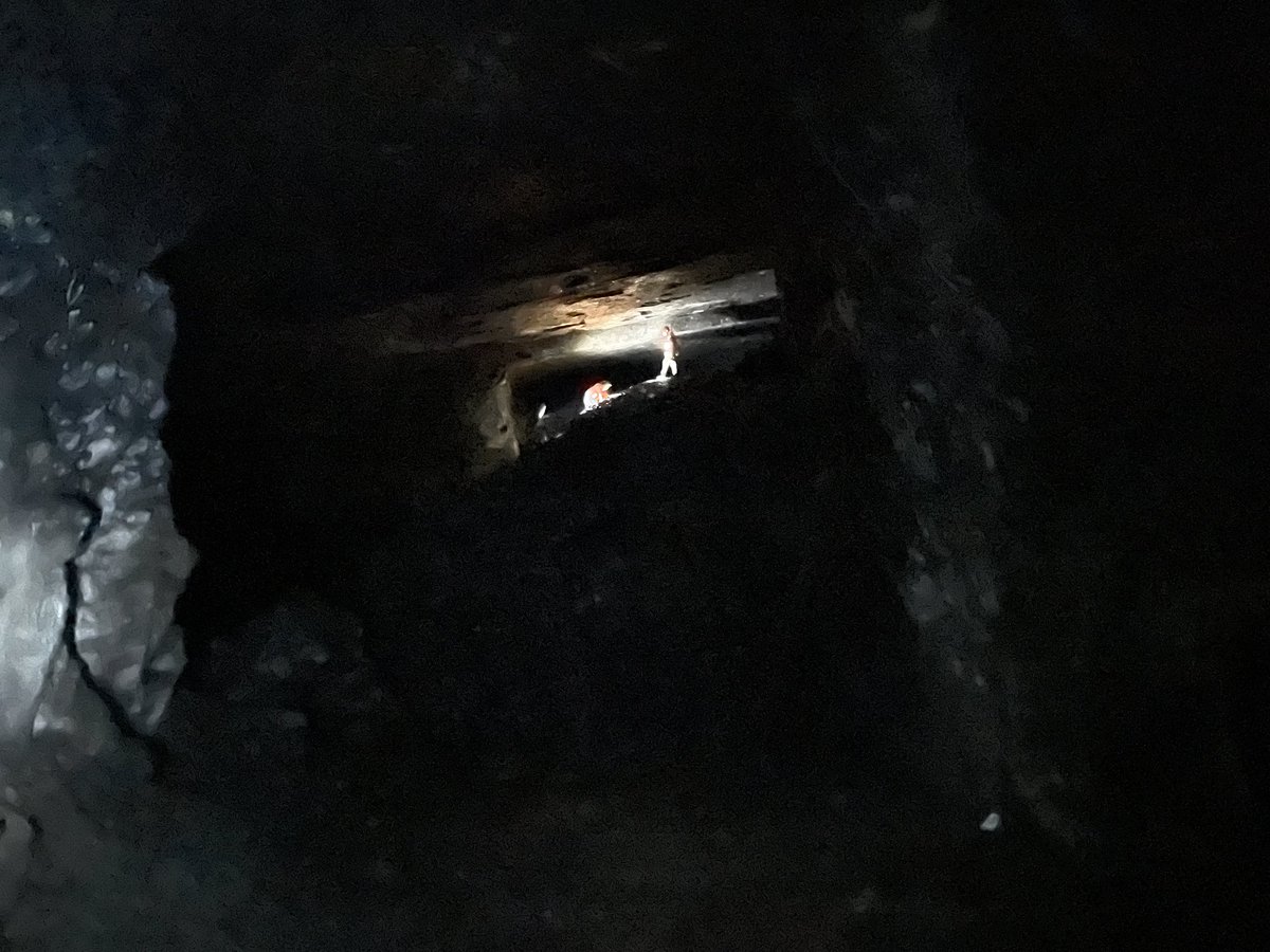 SWhitcher79's tweet photo. A good weekend visiting some awesome sites with Clwyd Bat Group. Lots of LHS plus a good scattering of myotis and plecotus species. #batgroup #hibernation #bats #bat #lhs #wales #NorthWales #clwydbatgroup #clwyd #hibernationsurvey https://t.co/1KJOOSvzAB