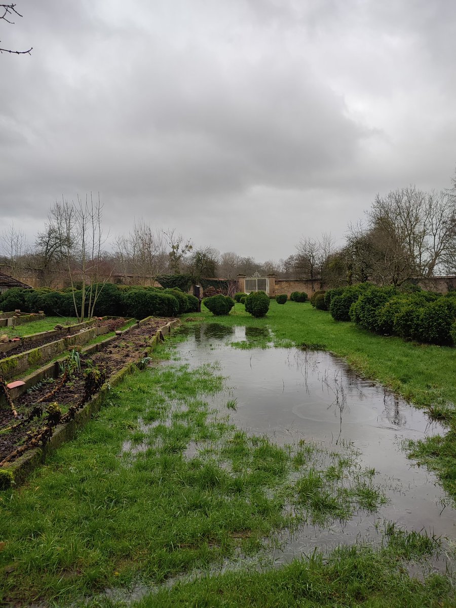 Bon #lundi à tous sous la #pluie ☂️ Comme toujours, le #potager est inondé 😅  #parc #jardin #buis #mare