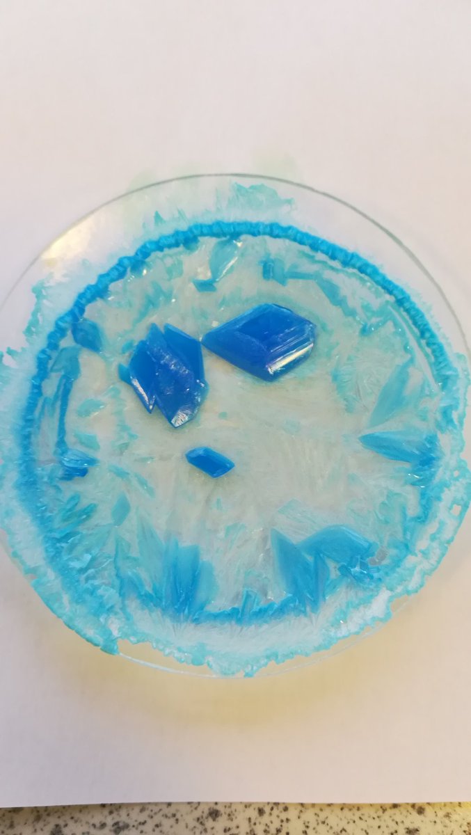 stw_science's tweet image. Mr O&apos;Rourke&apos;s Year 10 class have reacted copper oxide with sulfuric acid to produce copper sulfate crystals 🔷 #MakingSalts