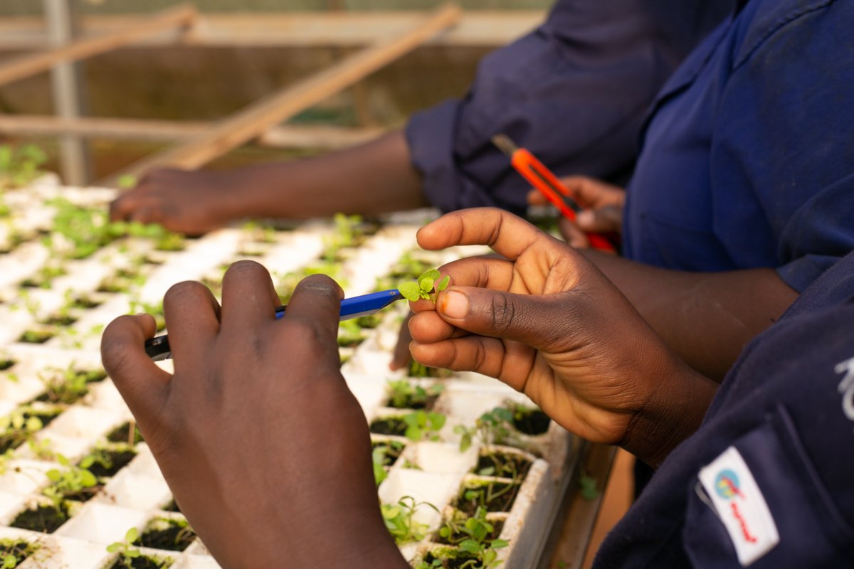 Agromax uganda tweet media