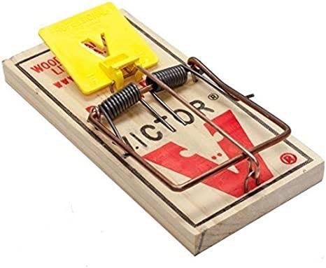 adipoc's tweet photo. As long as you live remember that the only free cheese is in the mousetrap!
#SubaProverb #wisdomiskey https://t.co/sISndFVzFH