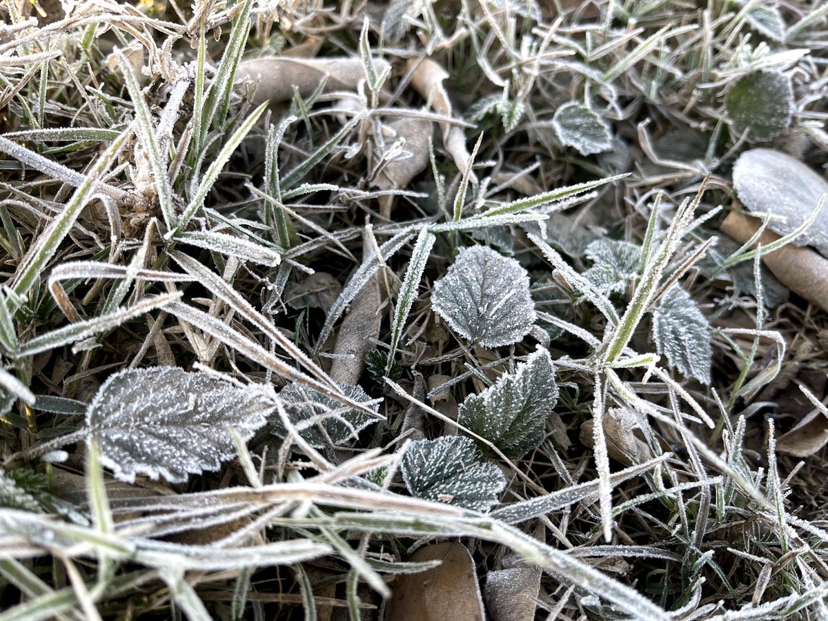 TimeTravel1947's tweet photo. 🔴 Widespread frost observed in #Lahore as temperature drops to 00 to -2°C in different parts of the city. 🥶❄️
#WeatherUpdate #ColdWave
#TTalert https://t.co/1fbkj4tzsN