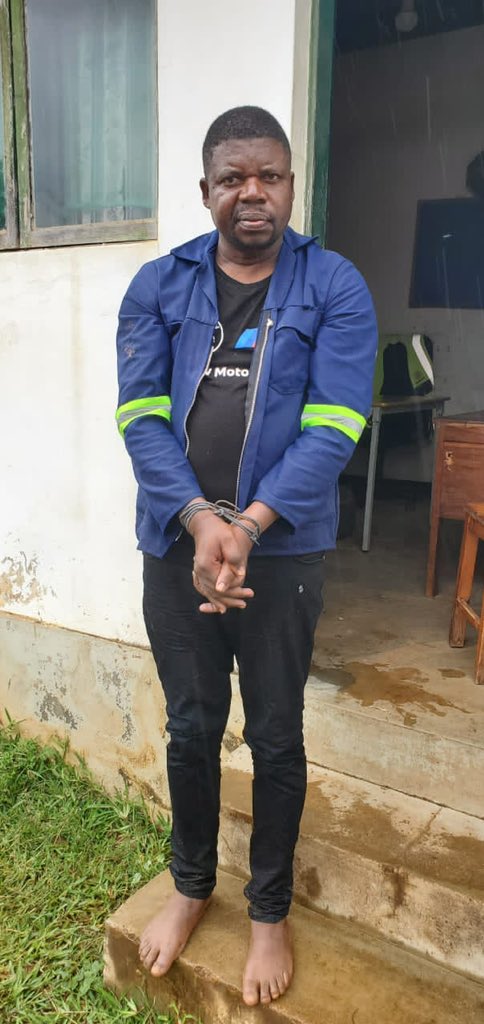 Nick Mangwana tweet media