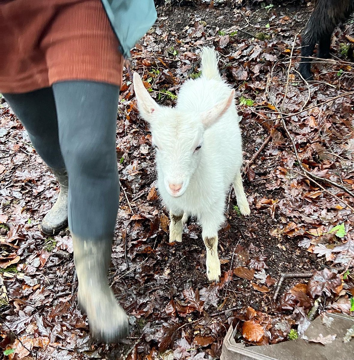 Dr Becky Kennedy | Cepheid Studio tweet media