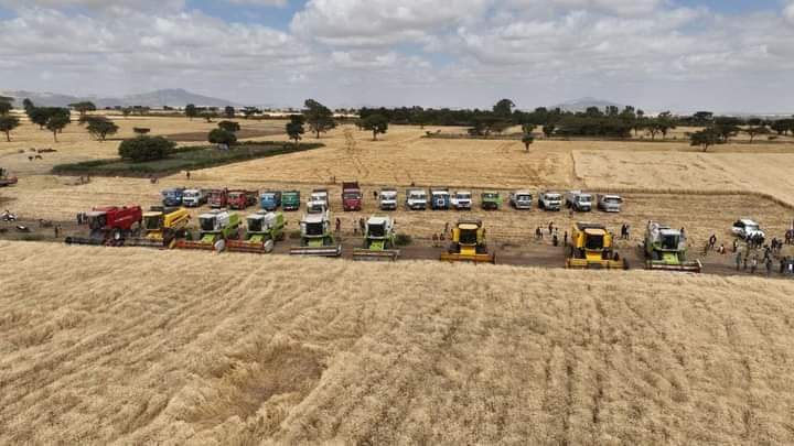 EthioMerej's tweet photo. #East #Bale #Zone
#Ginir #Woreda
Mechanized Harvesting of Summer wheat Cluster,East Bale Zone,Ginir Woreda, Atota Farmers Village !! https://t.co/jMC7IEK5hA