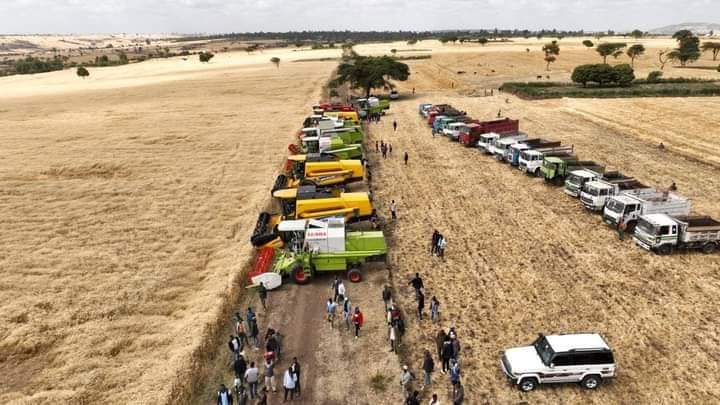 EthioMerej's tweet photo. #East #Bale #Zone
#Ginir #Woreda
Mechanized Harvesting of Summer wheat Cluster,East Bale Zone,Ginir Woreda, Atota Farmers Village !! https://t.co/jMC7IEK5hA