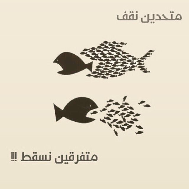 ipe__98's tweet photo. متحدين نقف 
متفرقين نسقط !!🥀 https://t.co/xEu1uiJYUC