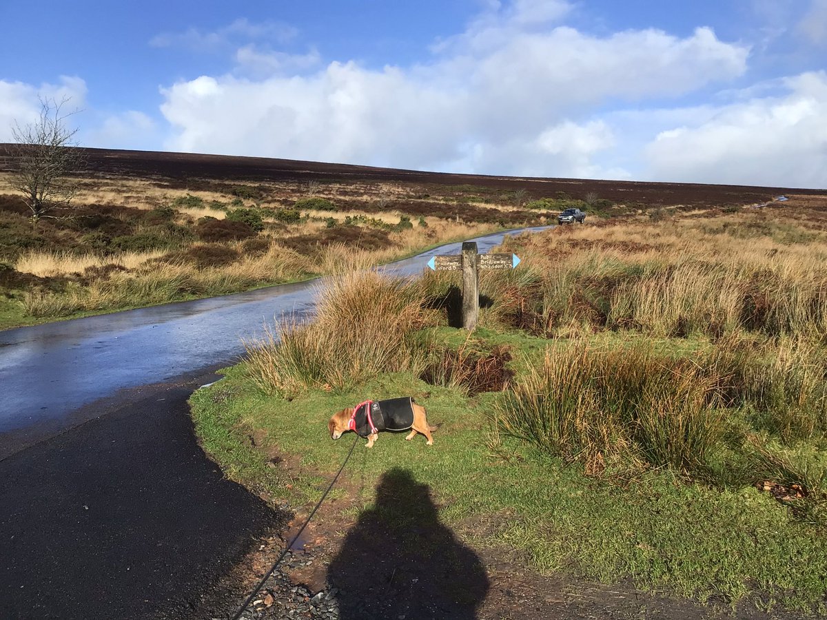 PoplarsPenny's tweet photo. @DailyPicTheme2 Good morning @DailyPicTheme2 I #value the countryside it’s good for one’s mental health to get #outdoors @ExmoorNP #Dunkery https://t.co/P5mDiOiUKp