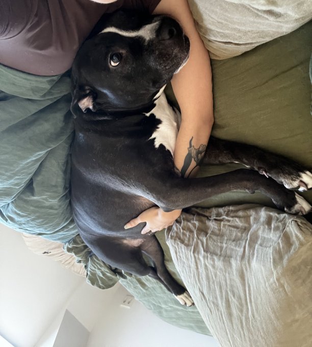 coziest girl in the world https://t.co/Pvicf3VvPg