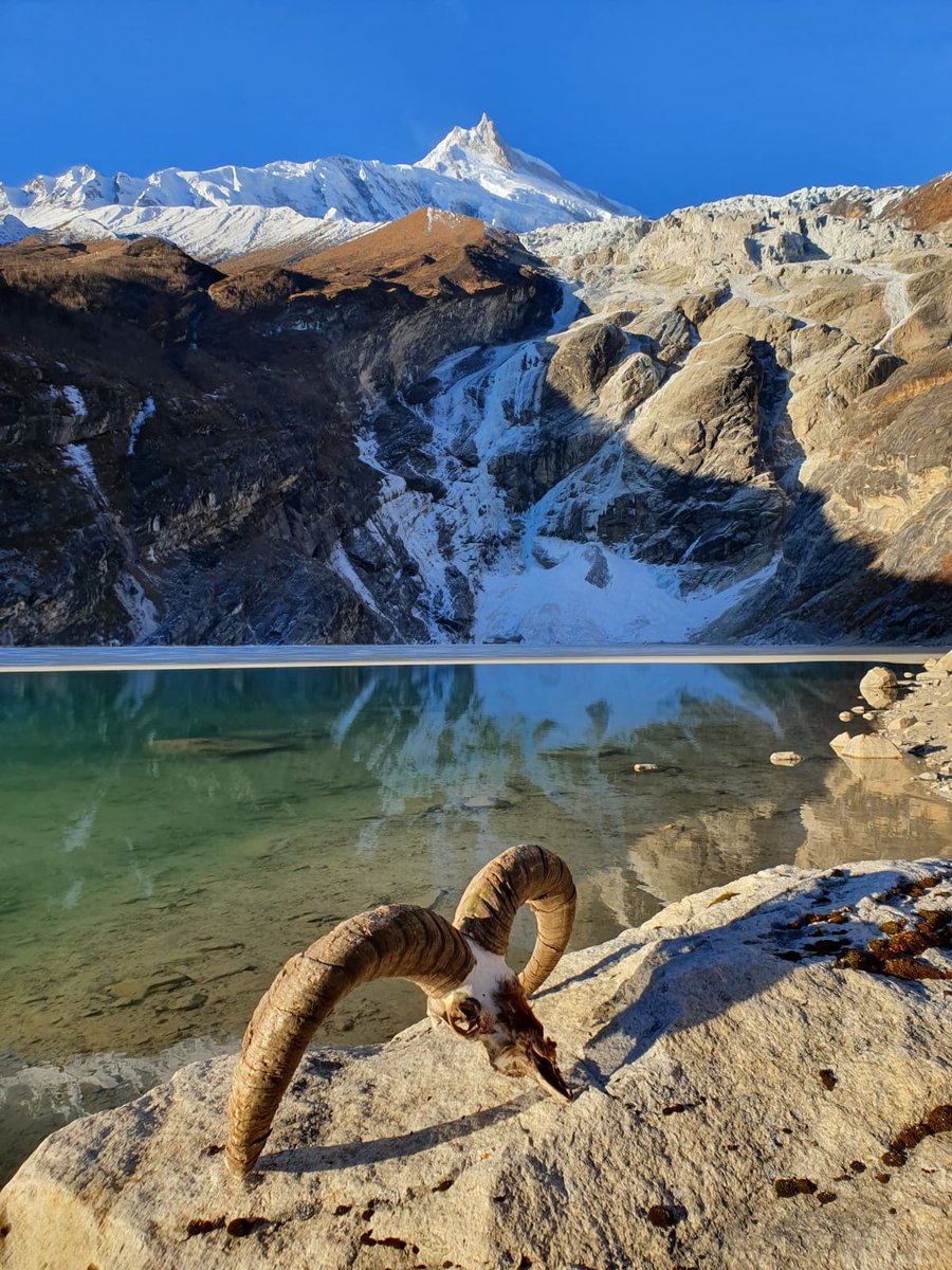 AlexTxikon's tweet photo. Aupa! Hoy hemos bajado a Samagaun así que tenemos conexión y aprovecho a saludaros👋🏼 Están siendo unos días increíbles. Nos hemos acercado hasta el Birendra Lake y nos hemos bañado. Qué fría estaba! 🤪
📸Pics by: #alextxikon / #ignaciomaqui
#wintersummits https://t.co/Xt5kRrvmn5