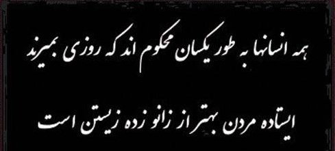 HassanRonaghi's tweet photo. ایستاده مردن بهتر است از زانو زده زیستن.

جانم فدای میهن https://t.co/SmB3iXXu94