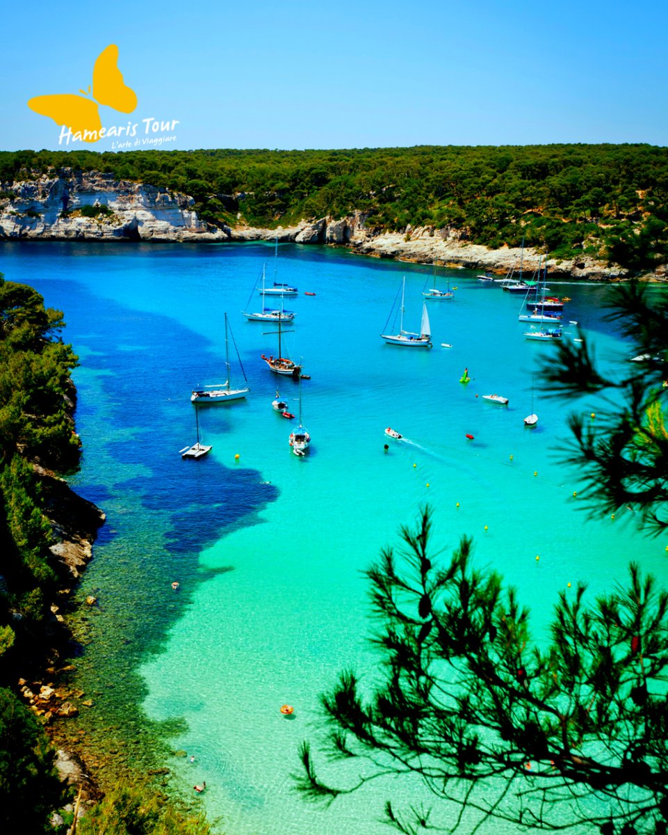 HamearisTour's tweet photo. Preparati per l'estate!
𝐌𝐈𝐍𝐎𝐑𝐂𝐀 in FAMIGLIA 2 adulti e 1 bambino
Partenza dell'11 di giugno
da € 2000,00 totali!!!

A Minorca  il colore bianco della sabbia si unisce perfettamente al colore limpido e cristallino del mare.
È forse l’isola più… https://t.co/NeUjEtOXyZ